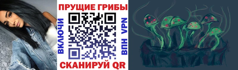 Купить где  Венёв  Псилоцибиновые грибы прущие грибы 